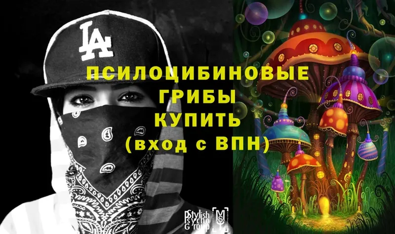 Галлюциногенные грибы Magic Shrooms Алейск